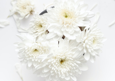 葬儀会社選びのポイント