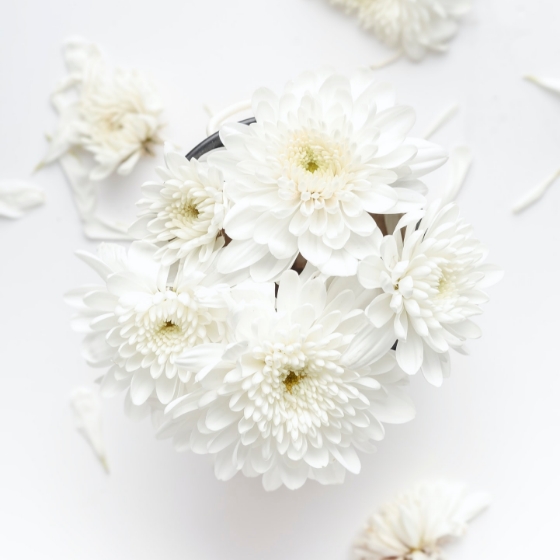 五島　末留葬儀社　葬儀会社選びのポイント